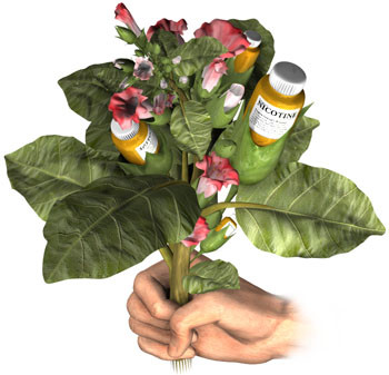 Blog Le Petit Vapoteur